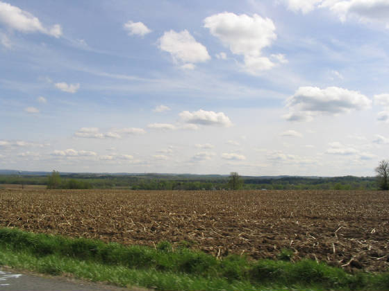 img_1247.jpg