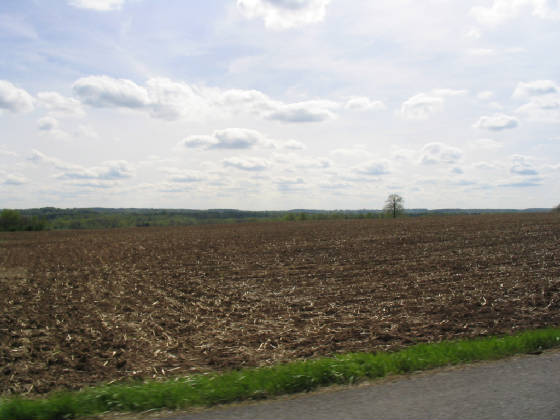 img_1250.jpg