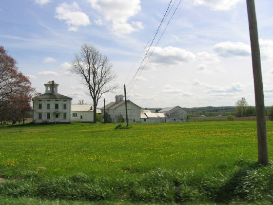 img_1251.jpg